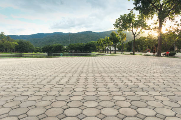 Best Commercial Driveway Pavers  in Zion, IL
